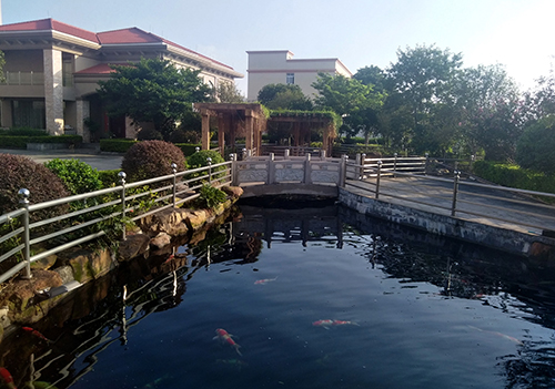 1571626591400625.jpg 秀美宏英 小像素2.jpg